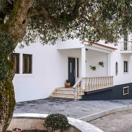 Apartment Olive House *